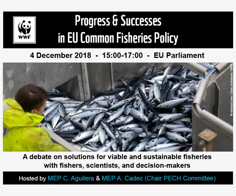 27 Nov - Fish Products, transparent png #7736515