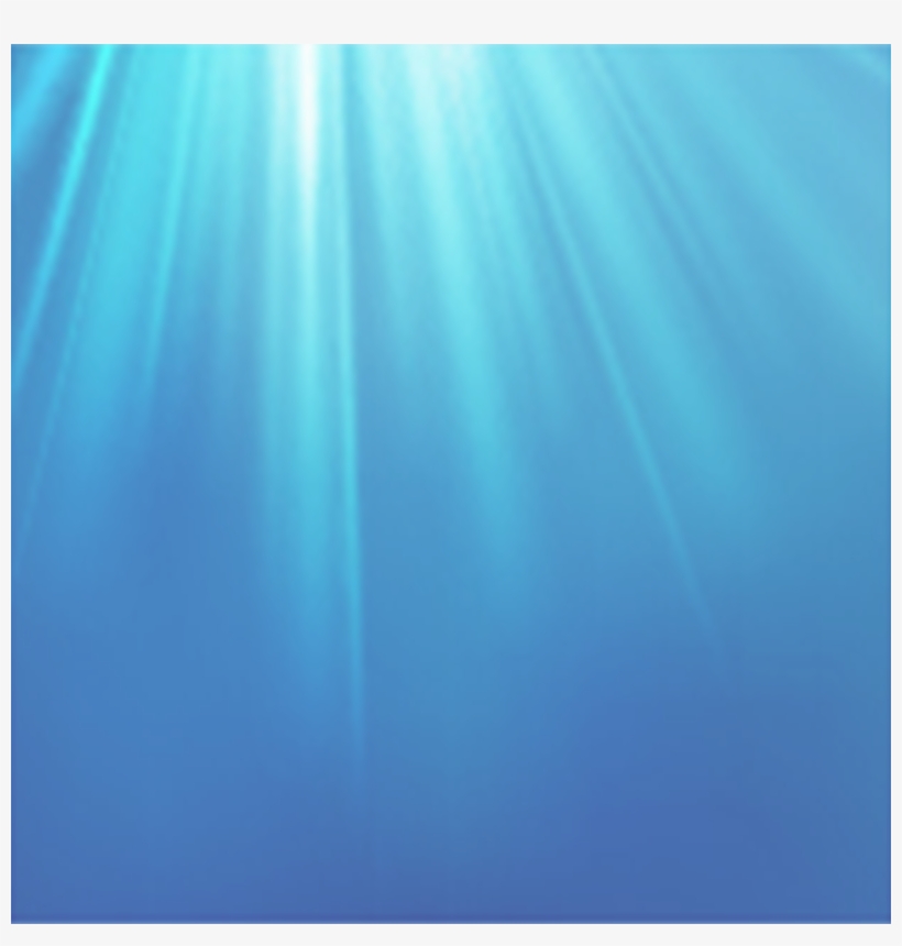 13¢ From The Sale Of Each Wild Selections® Product - Lamp, transparent png #7736739