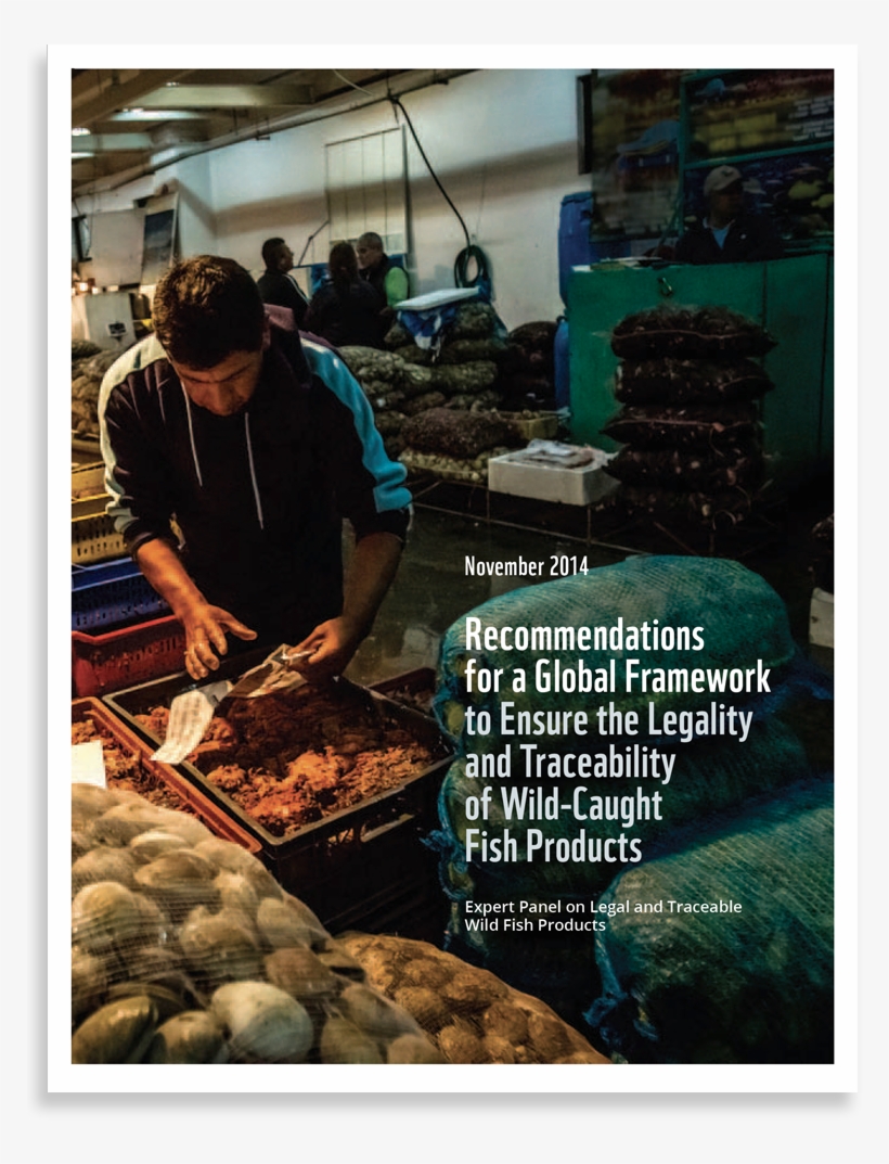 Cover - Mussel, transparent png #7736811