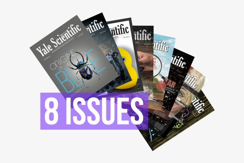 1-year Print - Flyer, transparent png #7736875