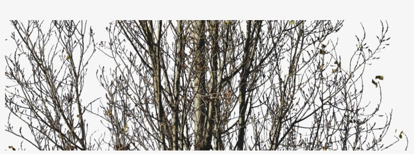 Previous - Next - Architecture, transparent png #7737090