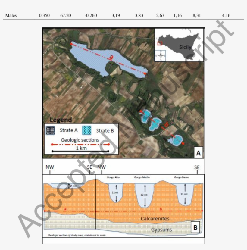 Study Area Of The Gorghi Tondi Wwf Nature Reserve In, transparent png #7737258