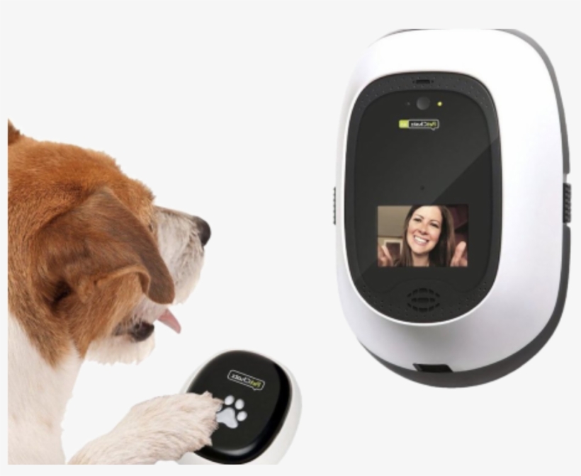 Shiny New Gadget Of The Month - Petchatz, transparent png #7737259