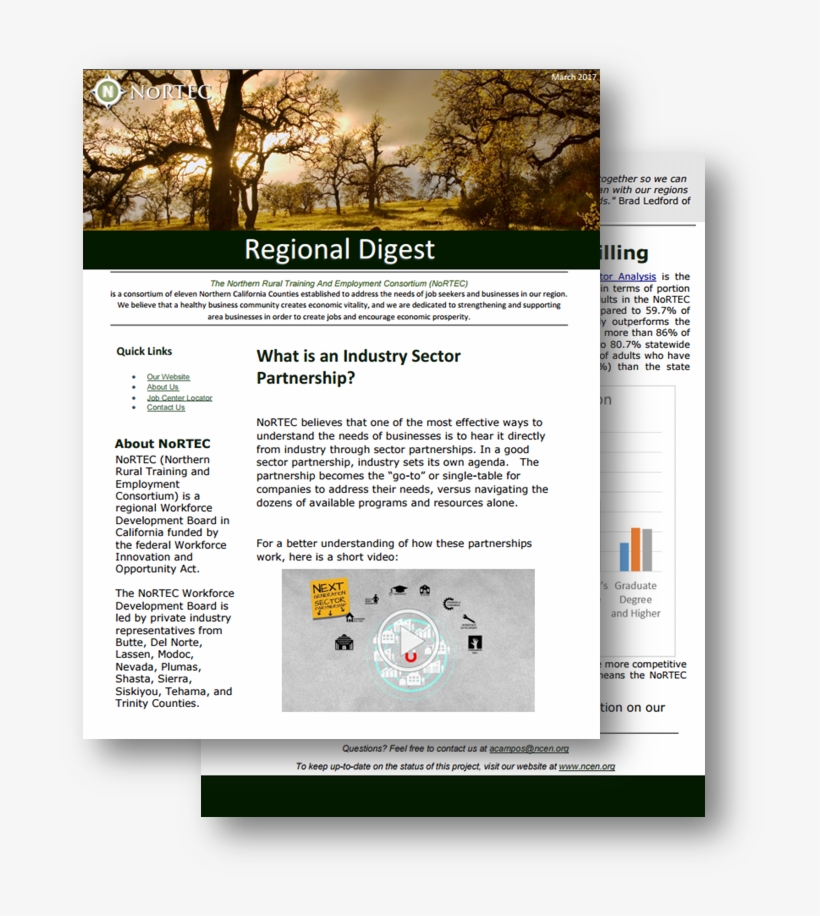 Contact Us 892-9600 - Tree, transparent png #7737349