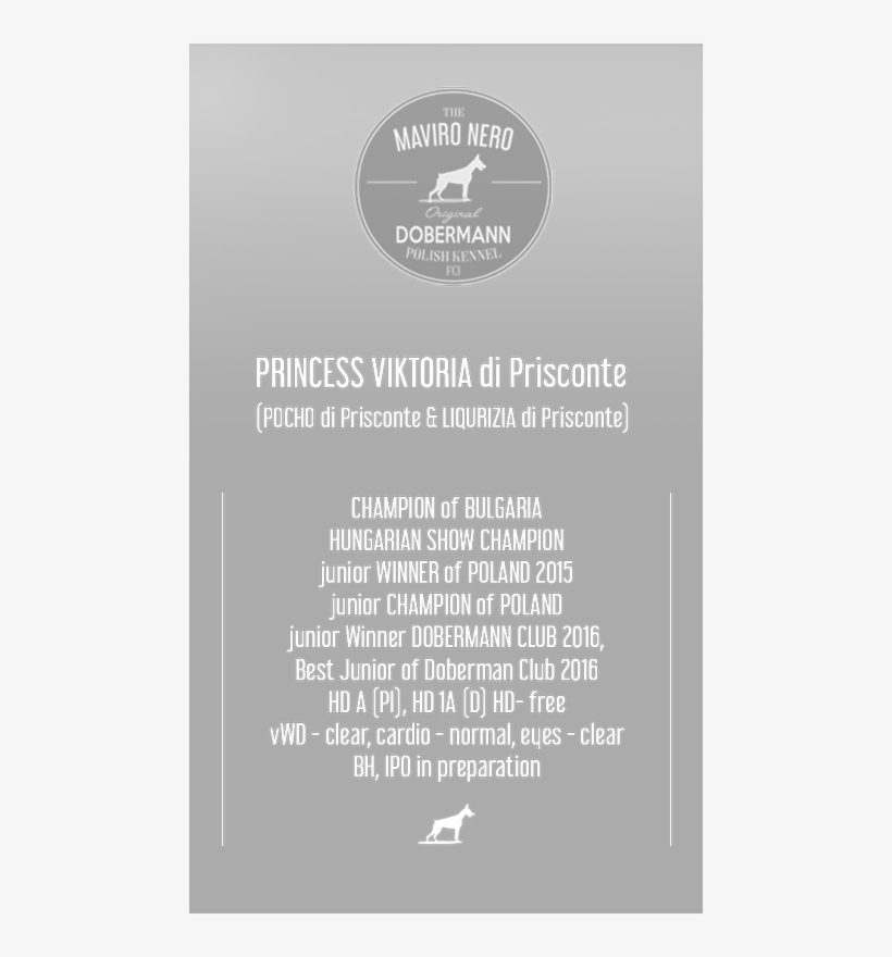 Princess Viktoria Di Prisconte - Kangaroo, transparent png #7737442