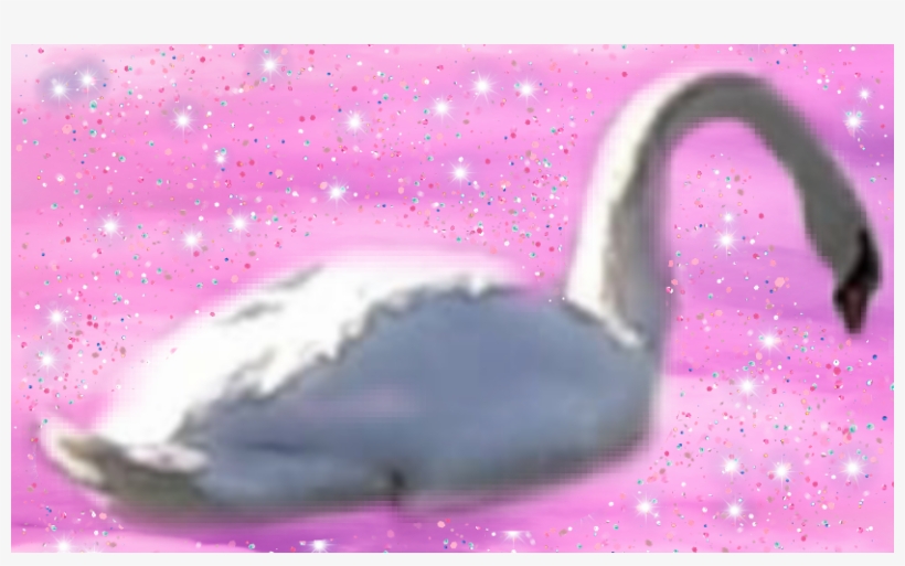 Water Bird, transparent png #7738818