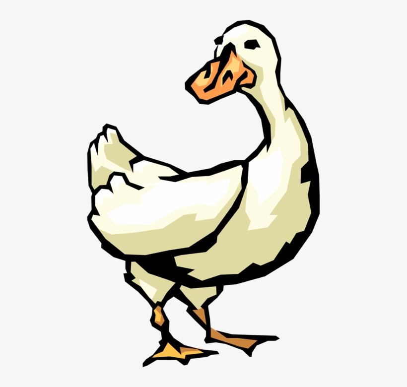 Vector Illustration Of White Waterfowl Duck Bird - Duck, transparent png #7738849
