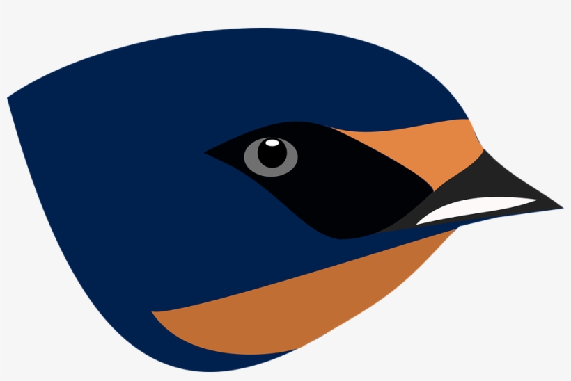 Download Png Image Report - Swallow Bird Head Png, transparent png #7739110