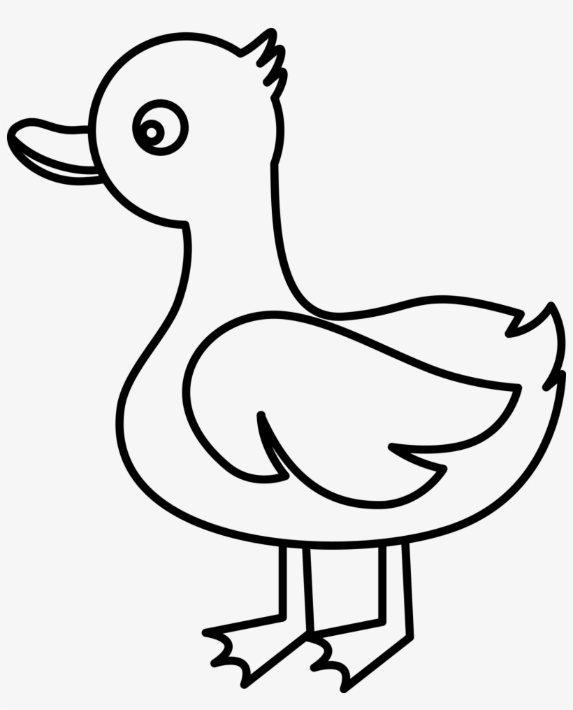 오리 Png 무료다운로드 Duck Png - 오리 Png, transparent png #7739393