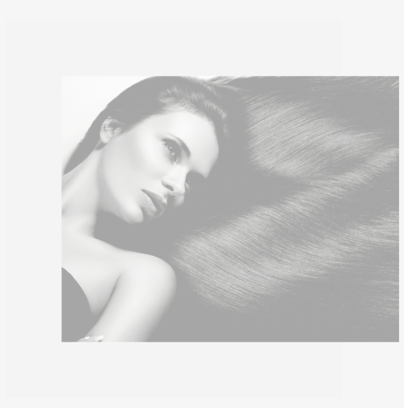 Hair Care 1 Preview Bw - Photo Shoot, transparent png #7742140