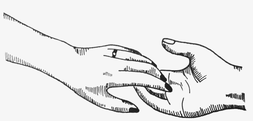 As Seen In - Sketch, transparent png #7742386