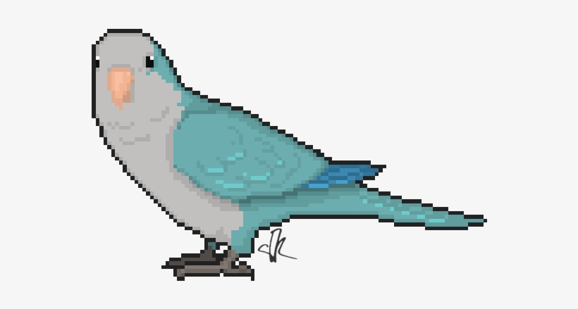 Wikia Visualization Add 1,parrots - Budgie, transparent png #7743003