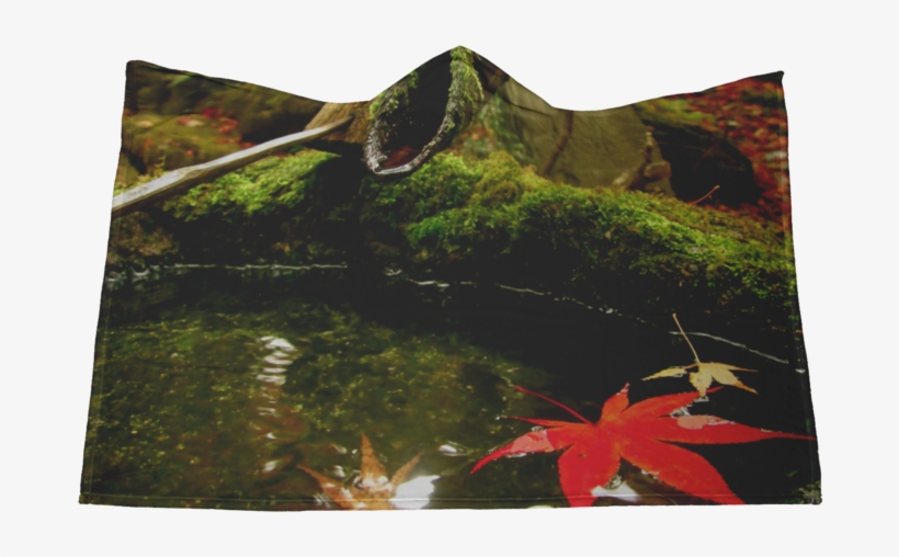 蹲踞に入っている紅葉 Tsukubai With Momiji Leafe - Kyoto, transparent png #7743047