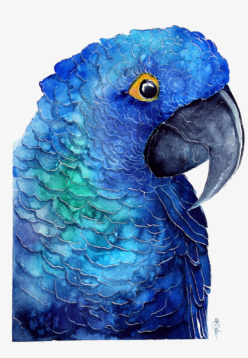 Blue Parrot Download Transparent Png Image - Watercolor Painting, transparent png #7743517