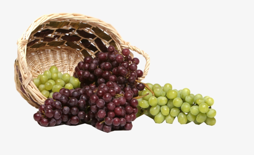 Grapes Png Royalty-free Image - Grapes Scenery, transparent png #7743654