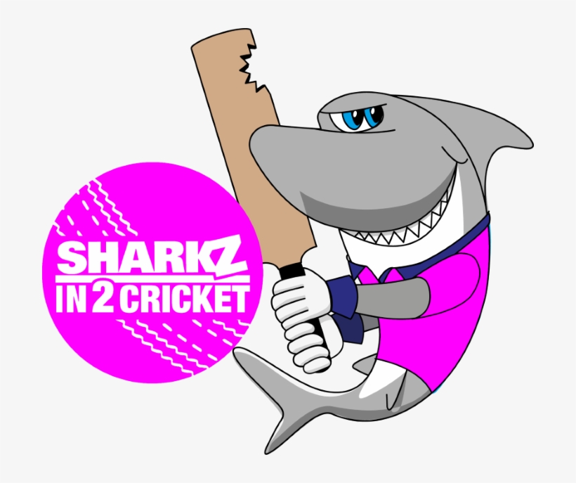 Aldridge Girls Cricket Hubs, transparent png #7743696