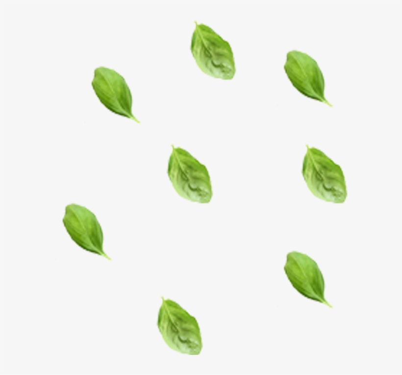 Veggie Wonder - Herbaceous Plant, transparent png #7743906