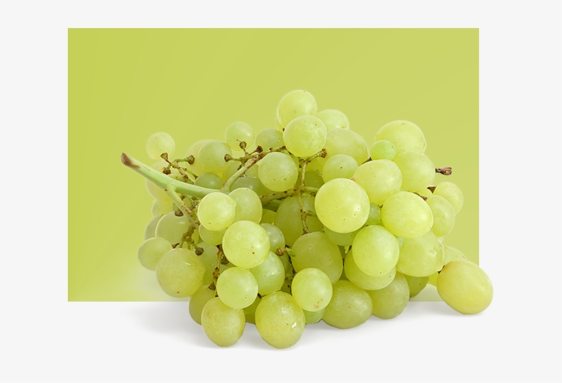 Table-grapes - Examples Of Grapes Fruit, transparent png #7743952