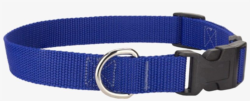 Dog Collar Png - Belt, transparent png #7744016