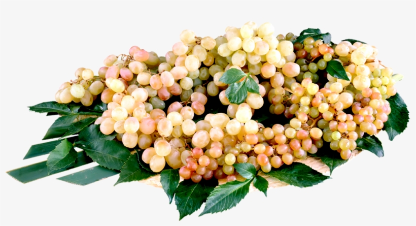 Purple Cartoon Grapes - Fruit, transparent png #7744098