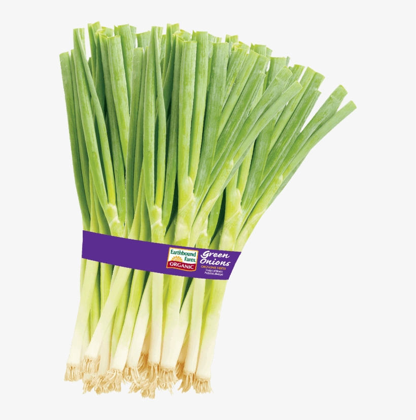 600 X 753 4 - Organic Green Onions, transparent png #7744350