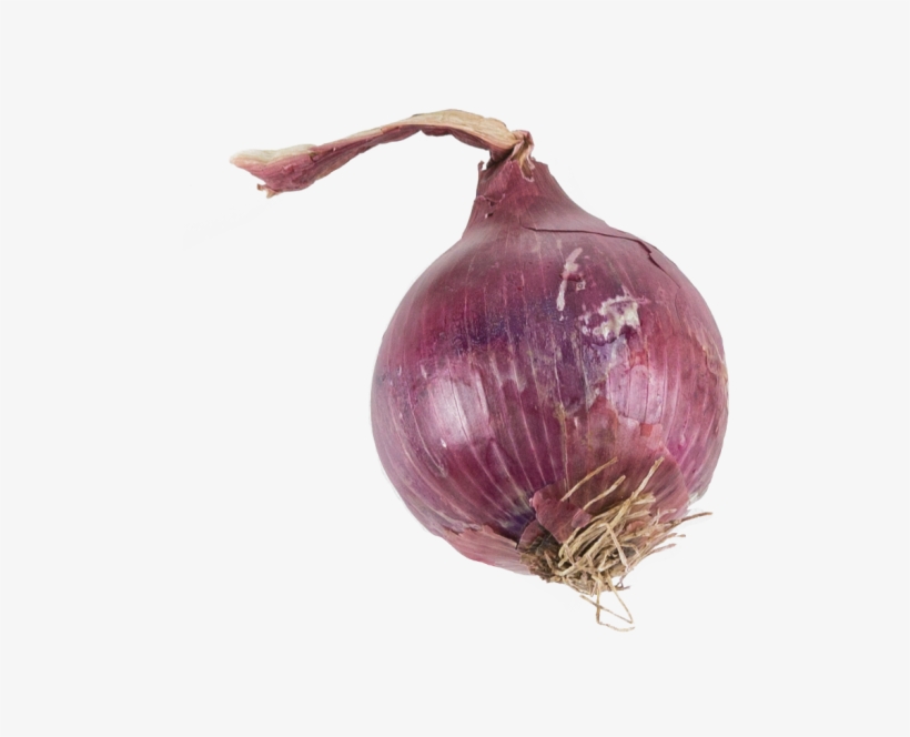 Onion - Red Onion, transparent png #7744432