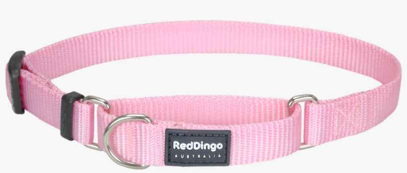 Belt, transparent png #7744551