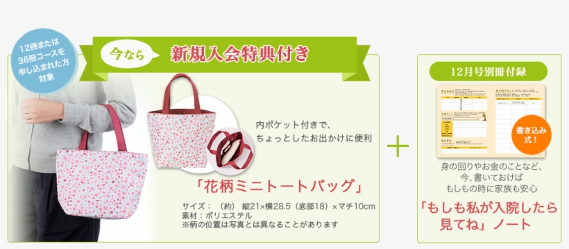 20181025 Img Present - Handbag, transparent png #7745403