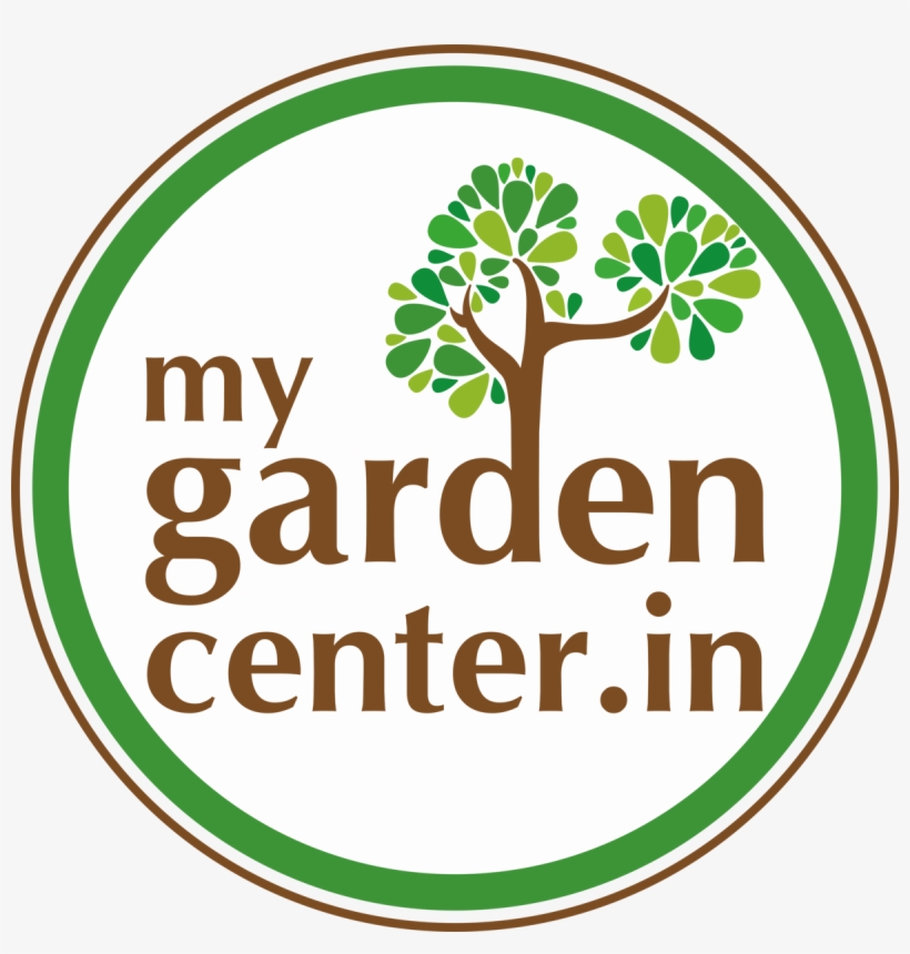 Circle, transparent png #7745404