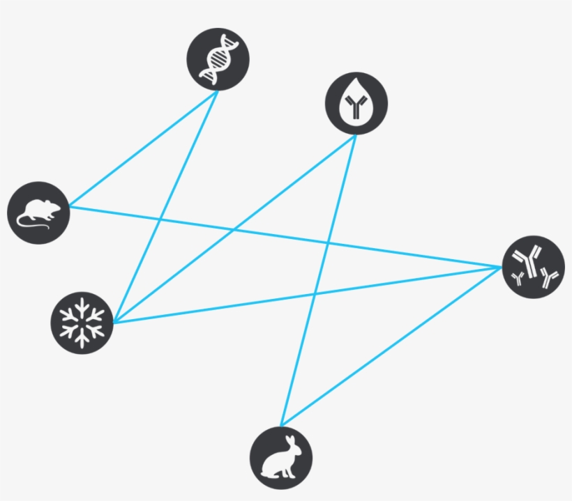 Receive Ipa News & Alerts - Diagram, transparent png #7745759