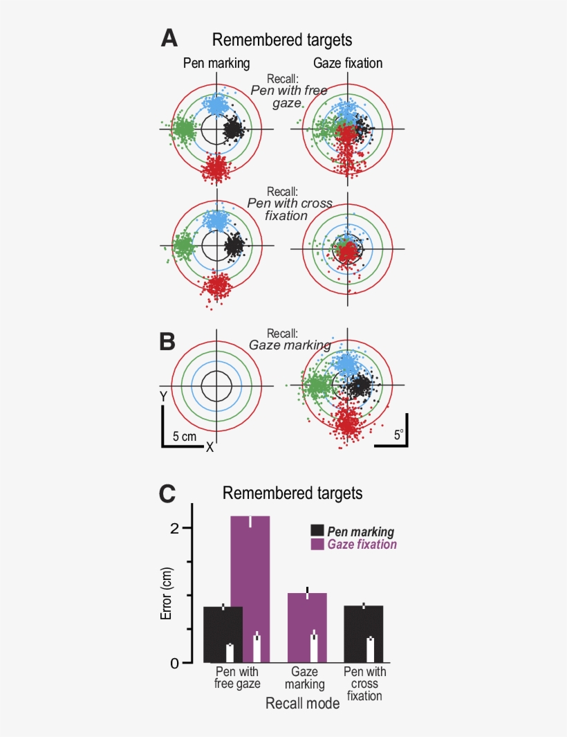 Hand And Gaze Behavior During Recall - Boxing, transparent png #7745973