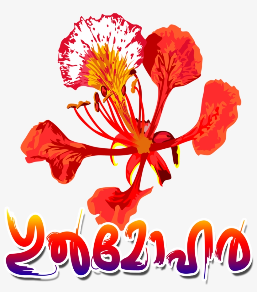 Gulmohar - Flower Royal Poinciana, transparent png #7746528