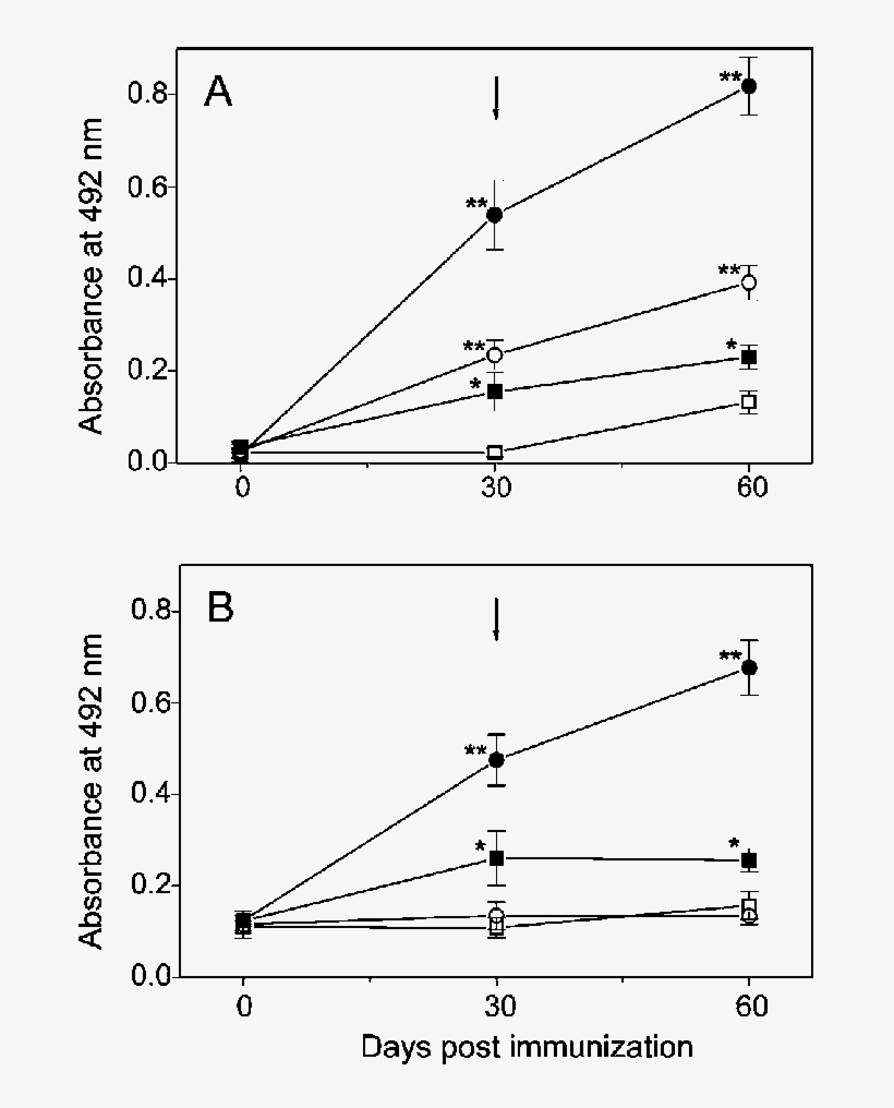 Time Course Of The Anti Philasterides Humoral Response - Diagram, transparent png #7746782