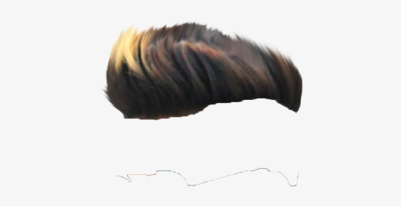 Hair Png ➤ Download - Shell, transparent png #7747028