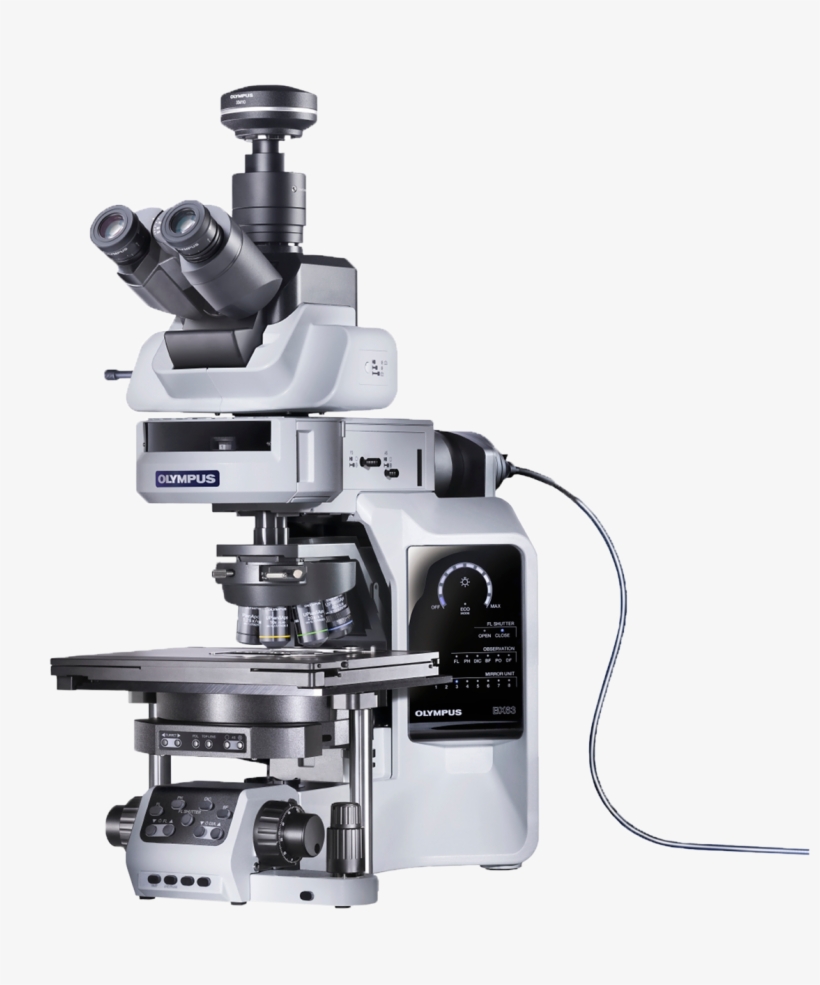 Olympus Bx63 Automated Upright Microscope - Olympus Microscopy, transparent png #7747074