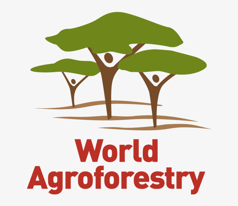 In Partnership With - World Kidney Day 2011, transparent png #7747214