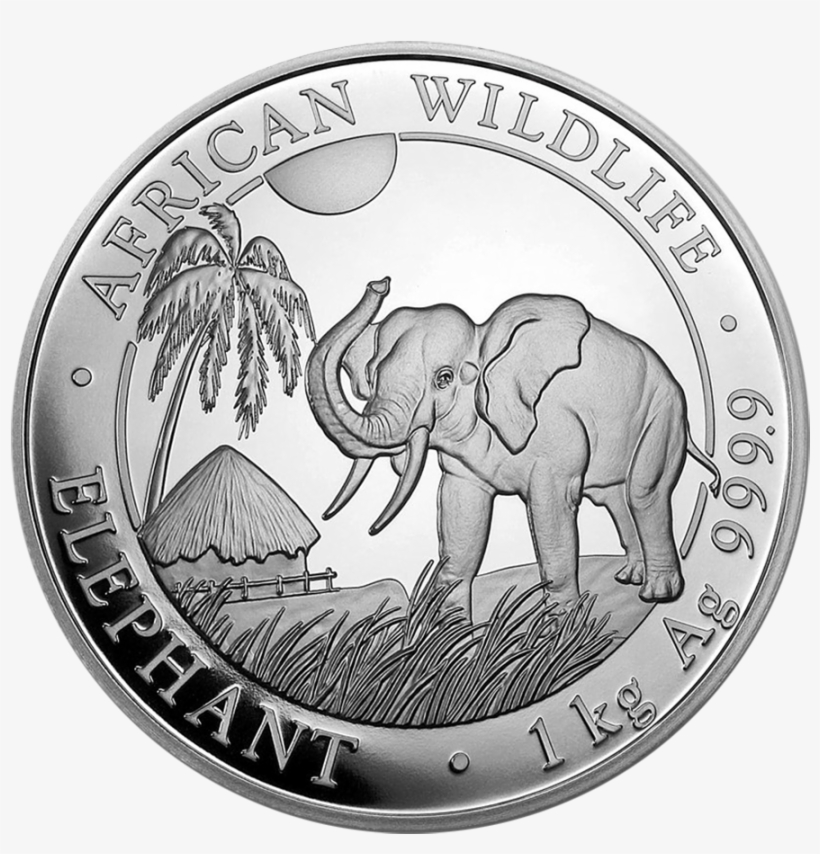 2017 Somalian Elephant 1kg Silver Coin - Silver Britannia 2008, transparent png #7747579