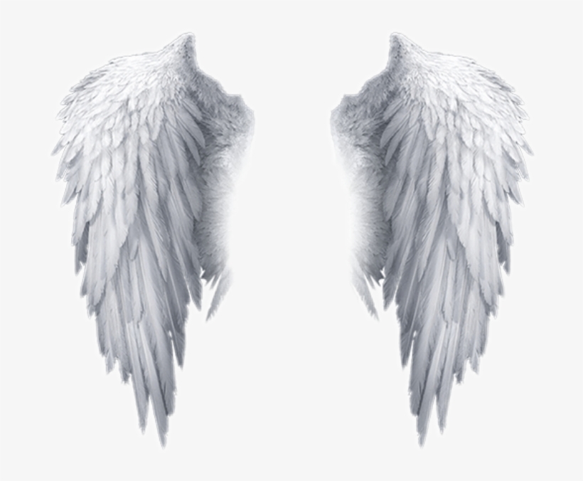Popular And Trending Feather Stickers On Picsart - Free Png Angel Wings, transparent png #7747594