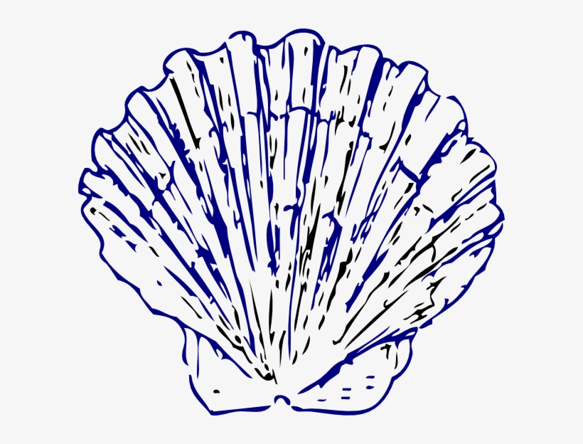 Sea Shell 2 Svg Clip Arts 600 X 544 Px, transparent png #7748477