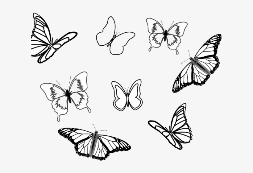 Monarch Butterfly Black And White, transparent png #7749536