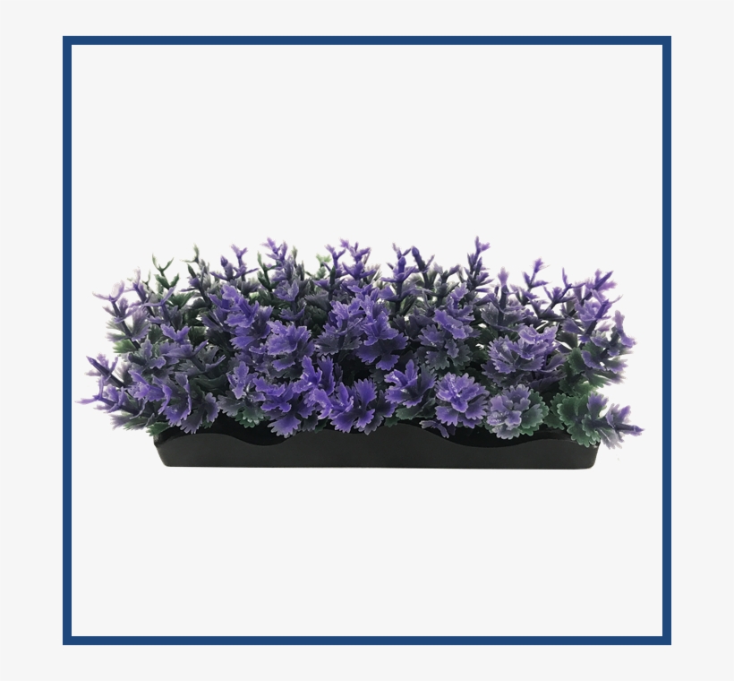 View Larger - Hyacinth, transparent png #7751986