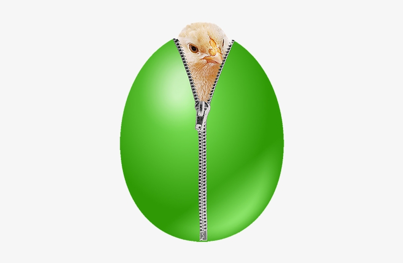 Circle, transparent png #7752478