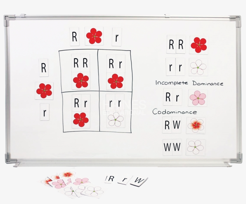 View Full Size - Craft, transparent png #7752634