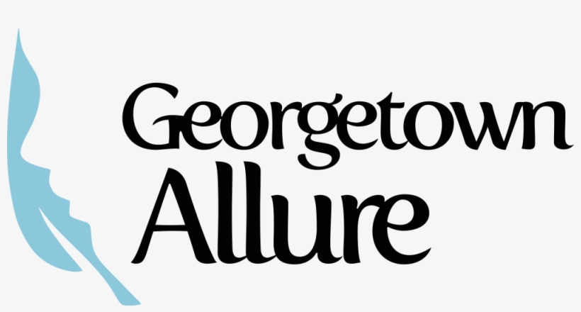 The Appointment Has Been Rejected - Calligraphy, transparent png #7753016