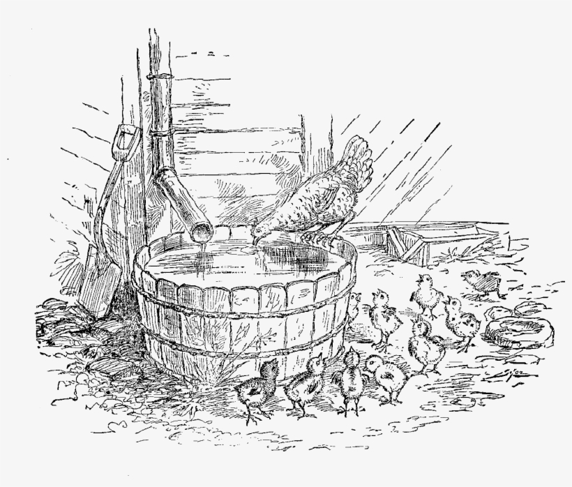 Chicken Hen Chicks Image Farm - Line Art, transparent png #7753112