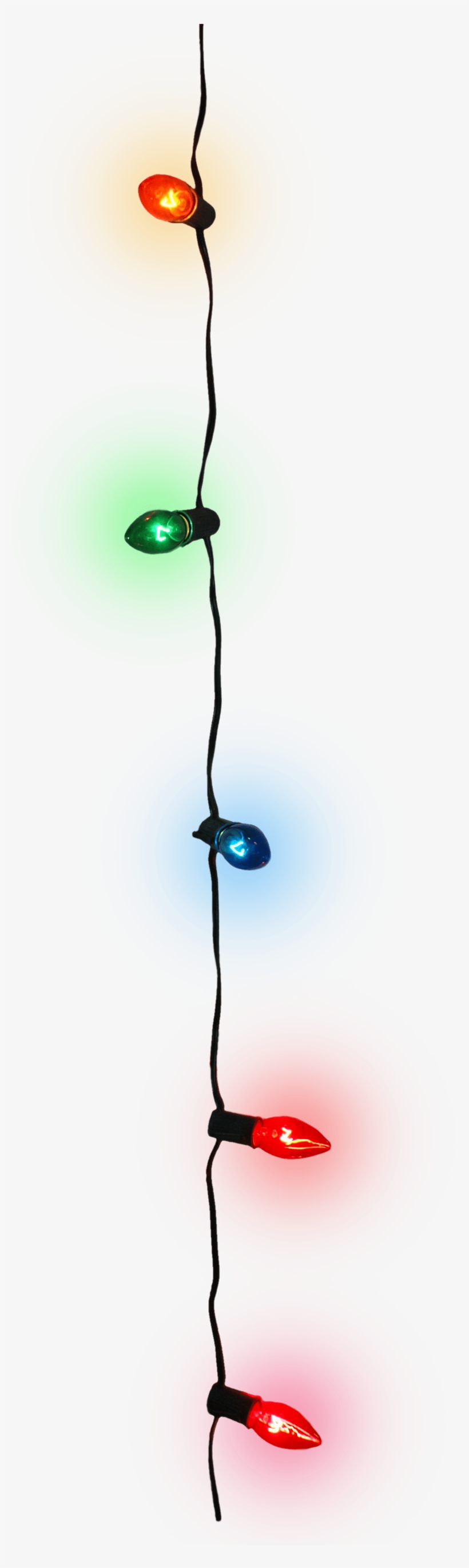 Decoration - Dragonflies And Damseflies, transparent png #7753188