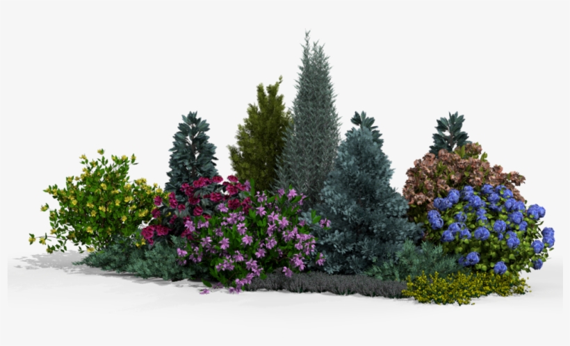 Over 800 Plant Species - Lobelia, transparent png #7753795