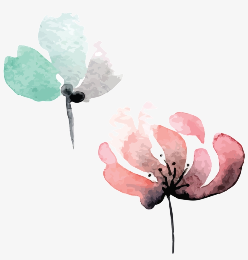 Hand Painted Painted Petals Hd Flower - Watercolor Paint, transparent png #7754161