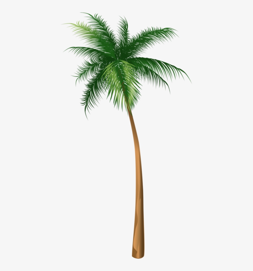 Arecaceae Coconut Tree Illustration Hq Image Free Png - Coconut Tree Illustration, transparent png #7754231