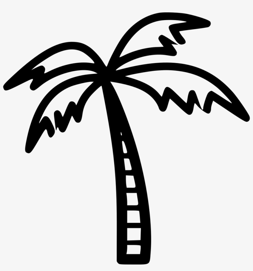 Coconut Tree Comments - Coconut, transparent png #7755424